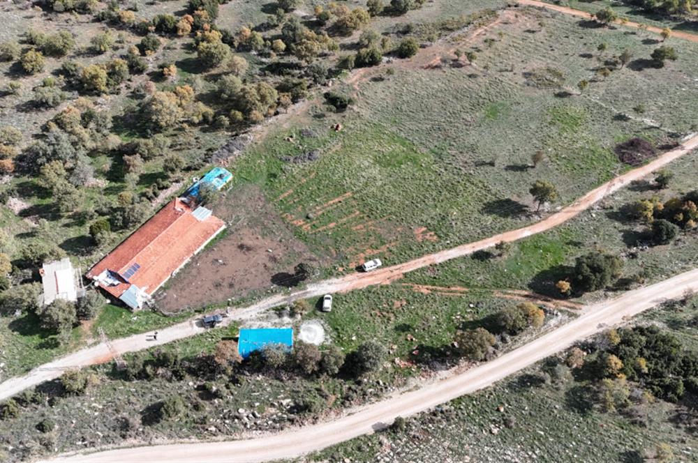 BEKİLLİ ÜÇKUYU'DA SATILIK TARLA VE KÜÇÜKBAŞ BESİHANESİ