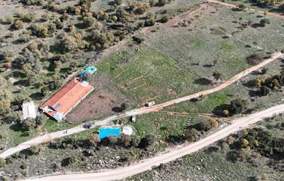 BEKİLLİ ÜÇKUYU'DA SATILIK TARLA VE KÜÇÜKBAŞ BESİHANESİ