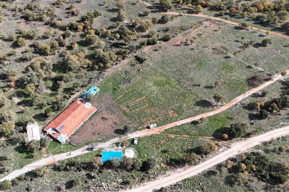 BEKİLLİ ÜÇKUYU'DA SATILIK TARLA VE KÜÇÜKBAŞ BESİHANESİ