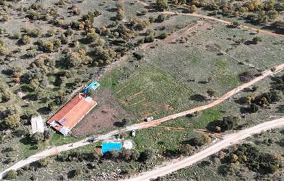 BEKİLLİ ÜÇKUYU'DA SATILIK TARLA VE KÜÇÜKBAŞ BESİHANESİ