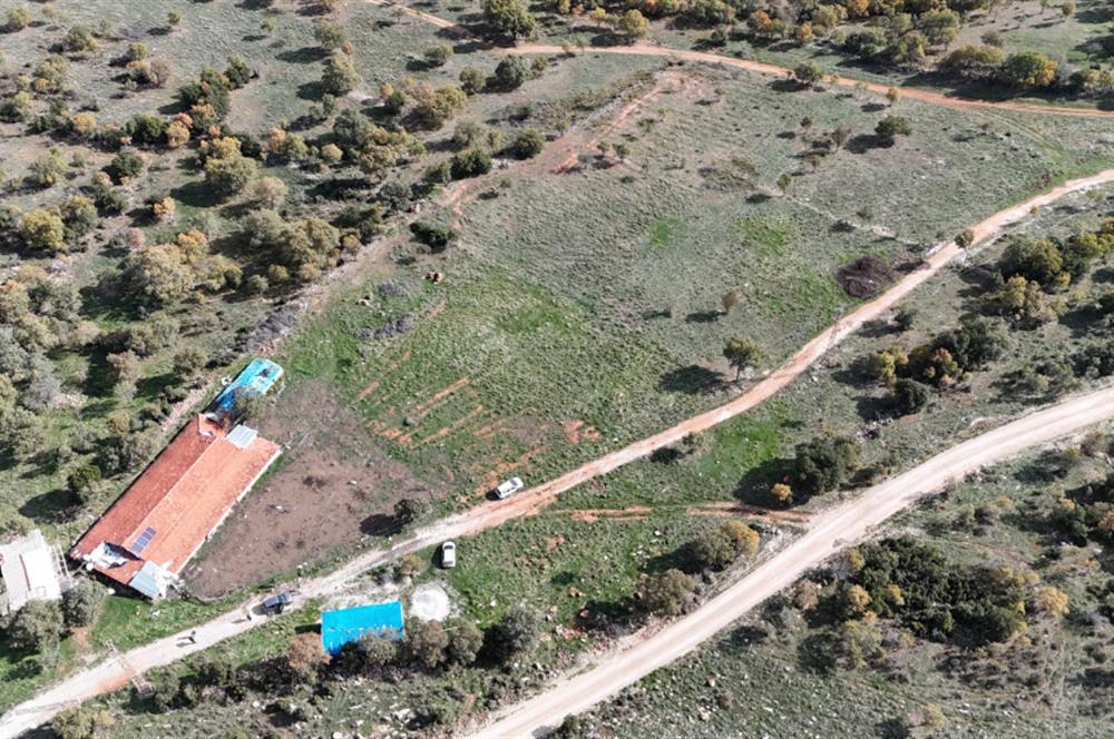 BEKİLLİ ÜÇKUYU'DA SATILIK TARLA VE KÜÇÜKBAŞ BESİHANESİ