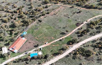 BEKİLLİ ÜÇKUYU'DA SATILIK TARLA VE KÜÇÜKBAŞ BESİHANESİ