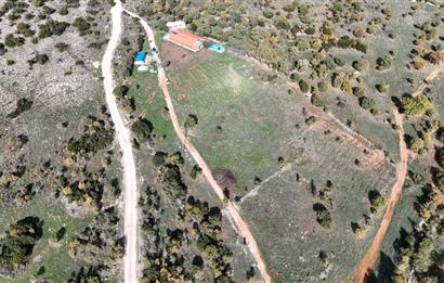 BEKİLLİ ÜÇKUYU'DA SATILIK TARLA VE KÜÇÜKBAŞ BESİHANESİ