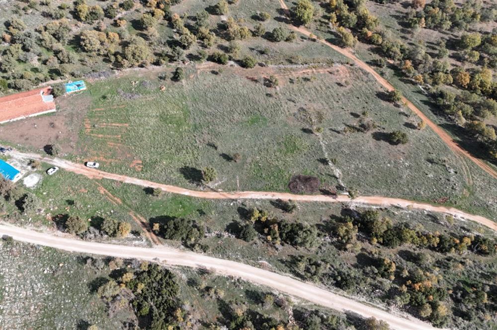 BEKİLLİ ÜÇKUYU'DA SATILIK TARLA VE KÜÇÜKBAŞ BESİHANESİ