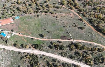 BEKİLLİ ÜÇKUYU'DA SATILIK TARLA VE KÜÇÜKBAŞ BESİHANESİ