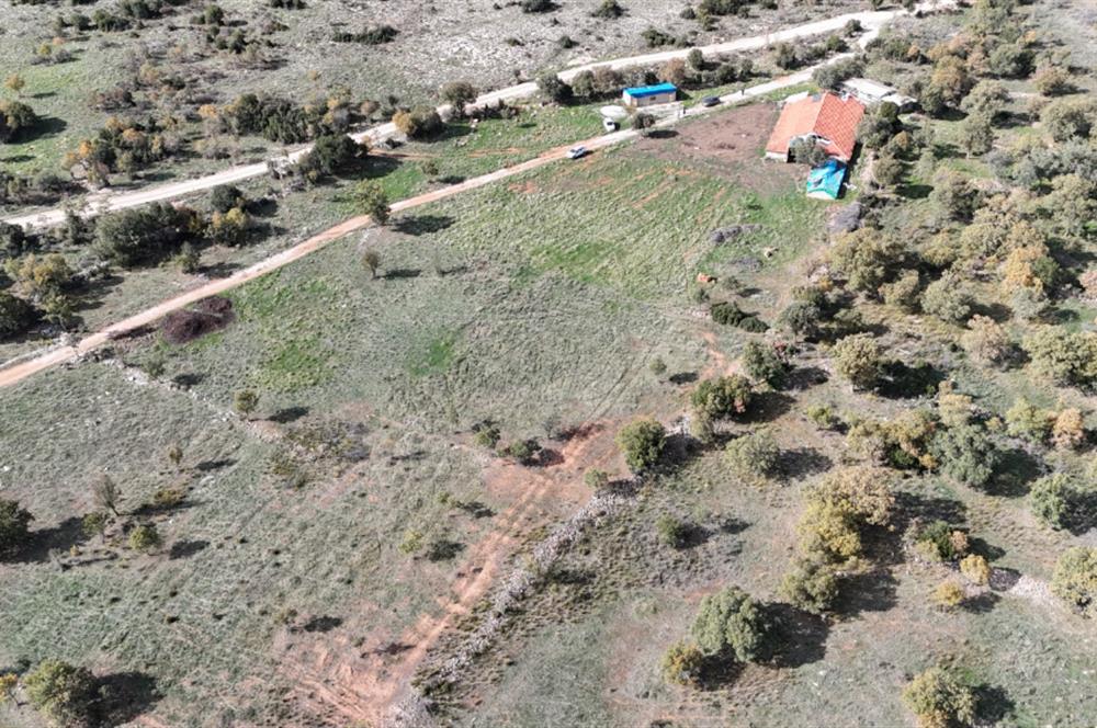 BEKİLLİ ÜÇKUYU'DA SATILIK TARLA VE KÜÇÜKBAŞ BESİHANESİ
