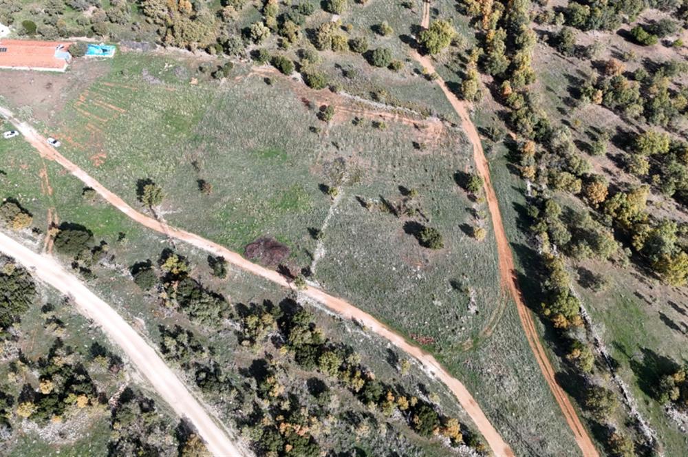 BEKİLLİ ÜÇKUYU'DA SATILIK TARLA VE KÜÇÜKBAŞ BESİHANESİ