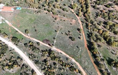 BEKİLLİ ÜÇKUYU'DA SATILIK TARLA VE KÜÇÜKBAŞ BESİHANESİ