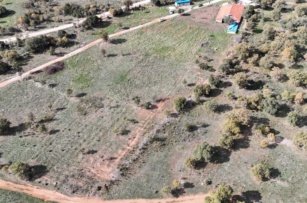 BEKİLLİ ÜÇKUYU'DA SATILIK TARLA VE KÜÇÜKBAŞ BESİHANESİ