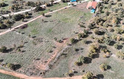 BEKİLLİ ÜÇKUYU'DA SATILIK TARLA VE KÜÇÜKBAŞ BESİHANESİ