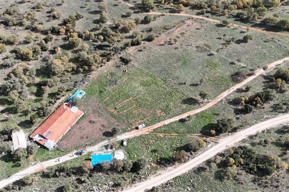 BEKİLLİ ÜÇKUYU'DA SATILIK TARLA VE KÜÇÜKBAŞ BESİHANESİ