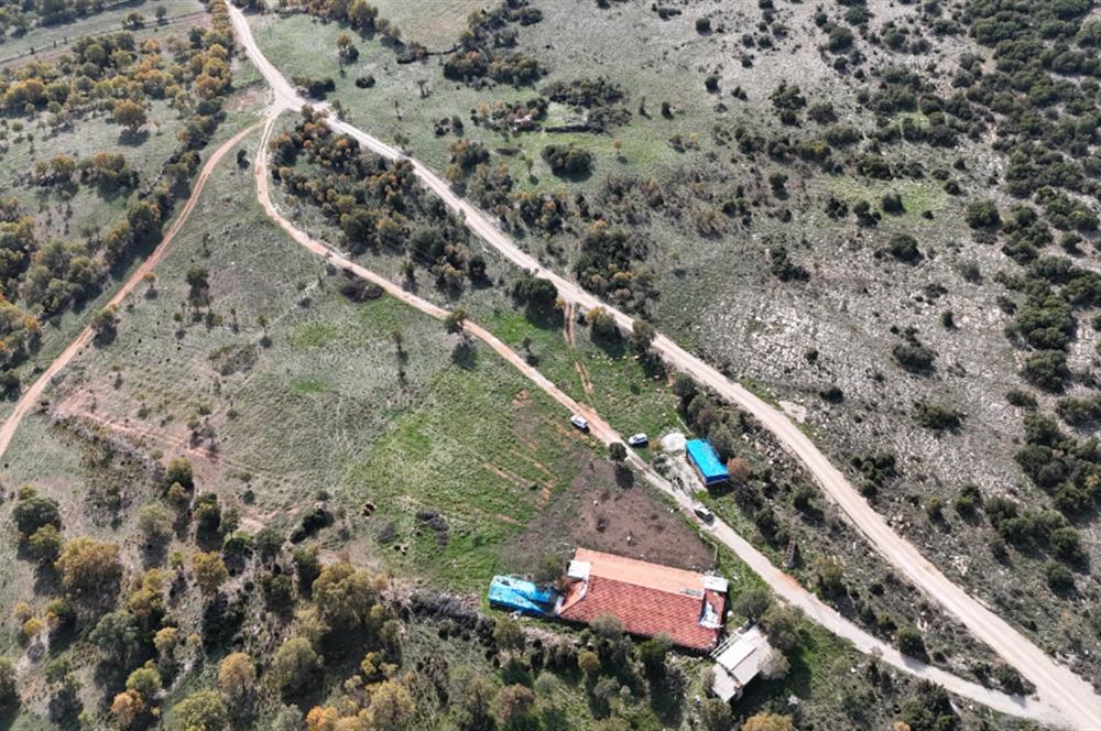 BEKİLLİ ÜÇKUYU'DA SATILIK TARLA VE KÜÇÜKBAŞ BESİHANESİ