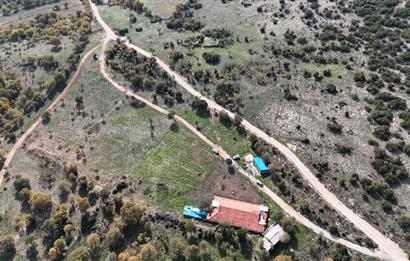 BEKİLLİ ÜÇKUYU'DA SATILIK TARLA VE KÜÇÜKBAŞ BESİHANESİ