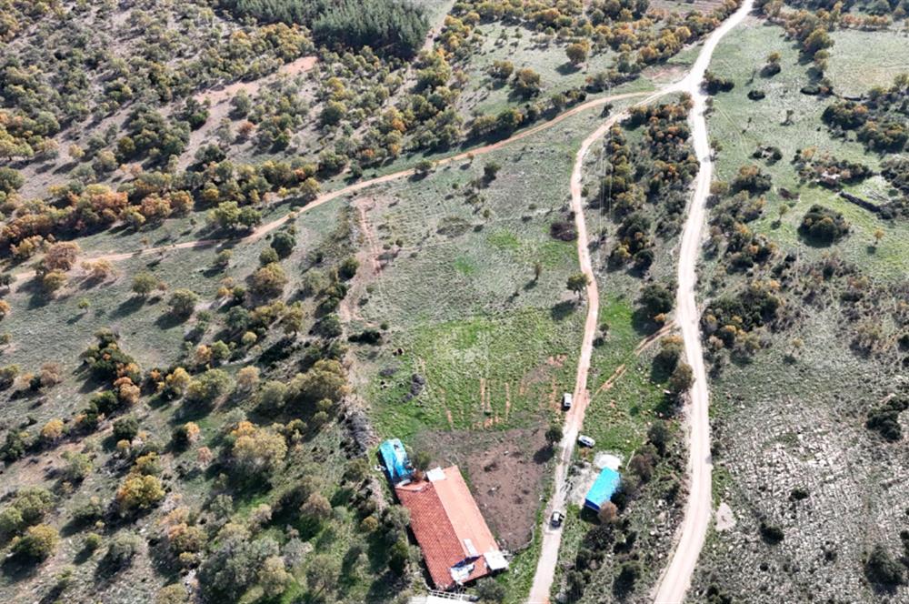 BEKİLLİ ÜÇKUYU'DA SATILIK TARLA VE KÜÇÜKBAŞ BESİHANESİ