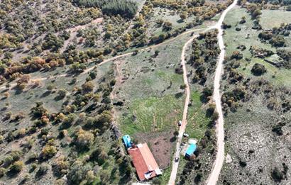 BEKİLLİ ÜÇKUYU'DA SATILIK TARLA VE KÜÇÜKBAŞ BESİHANESİ