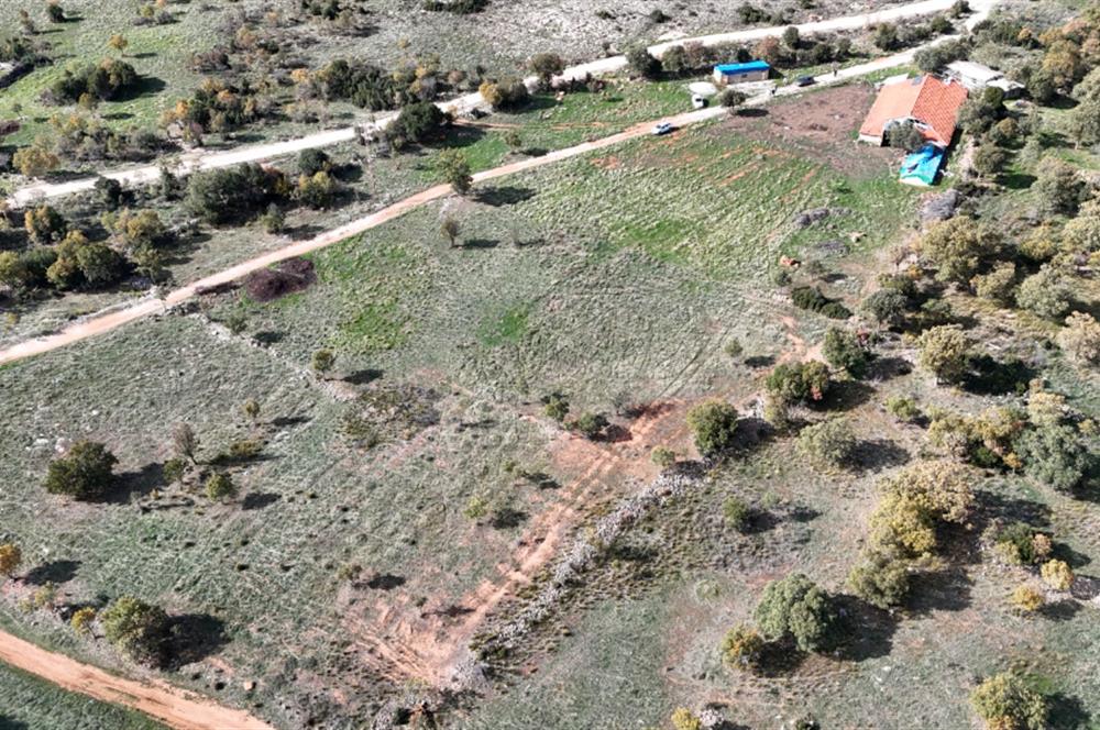 BEKİLLİ ÜÇKUYU'DA SATILIK TARLA VE KÜÇÜKBAŞ BESİHANESİ