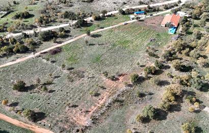 BEKİLLİ ÜÇKUYU'DA SATILIK TARLA VE KÜÇÜKBAŞ BESİHANESİ