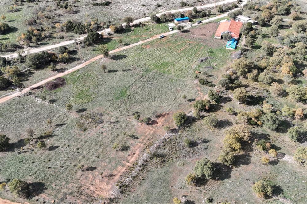 BEKİLLİ ÜÇKUYU'DA SATILIK TARLA VE KÜÇÜKBAŞ BESİHANESİ