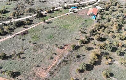 BEKİLLİ ÜÇKUYU'DA SATILIK TARLA VE KÜÇÜKBAŞ BESİHANESİ