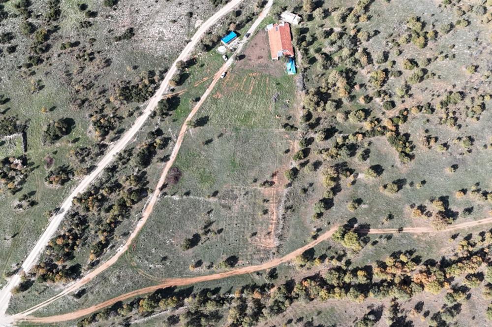 BEKİLLİ ÜÇKUYU'DA SATILIK TARLA VE KÜÇÜKBAŞ BESİHANESİ