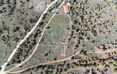 BEKİLLİ ÜÇKUYU'DA SATILIK TARLA VE KÜÇÜKBAŞ BESİHANESİ