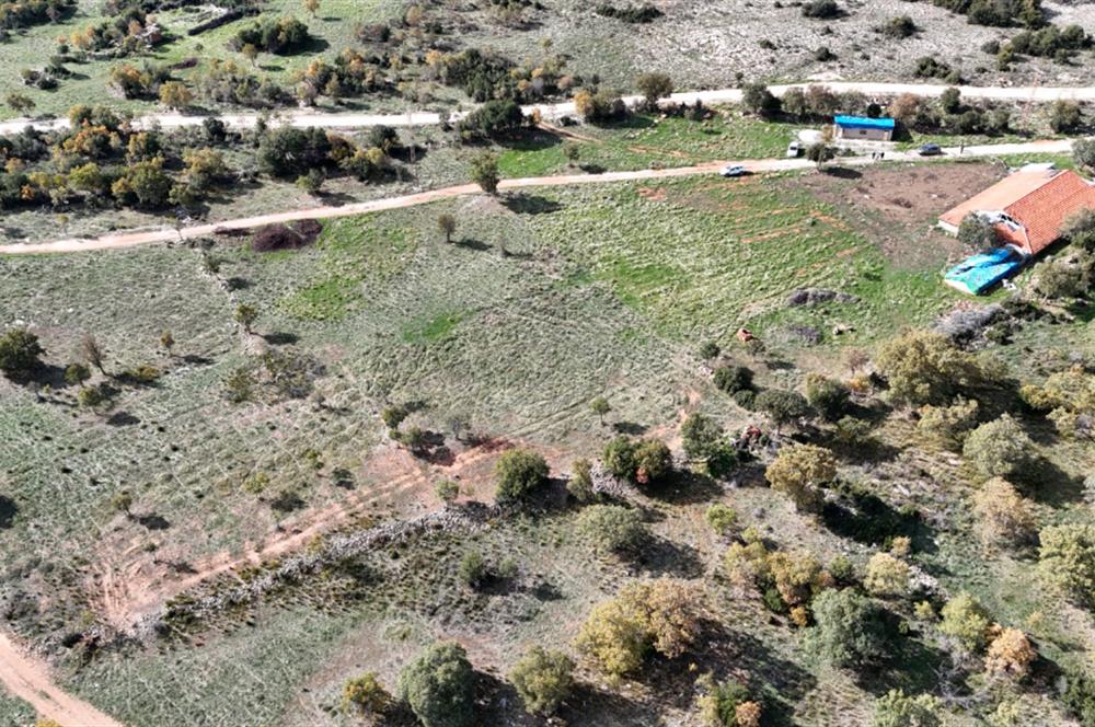 BEKİLLİ ÜÇKUYU'DA SATILIK TARLA VE KÜÇÜKBAŞ BESİHANESİ