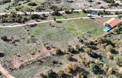 BEKİLLİ ÜÇKUYU'DA SATILIK TARLA VE KÜÇÜKBAŞ BESİHANESİ