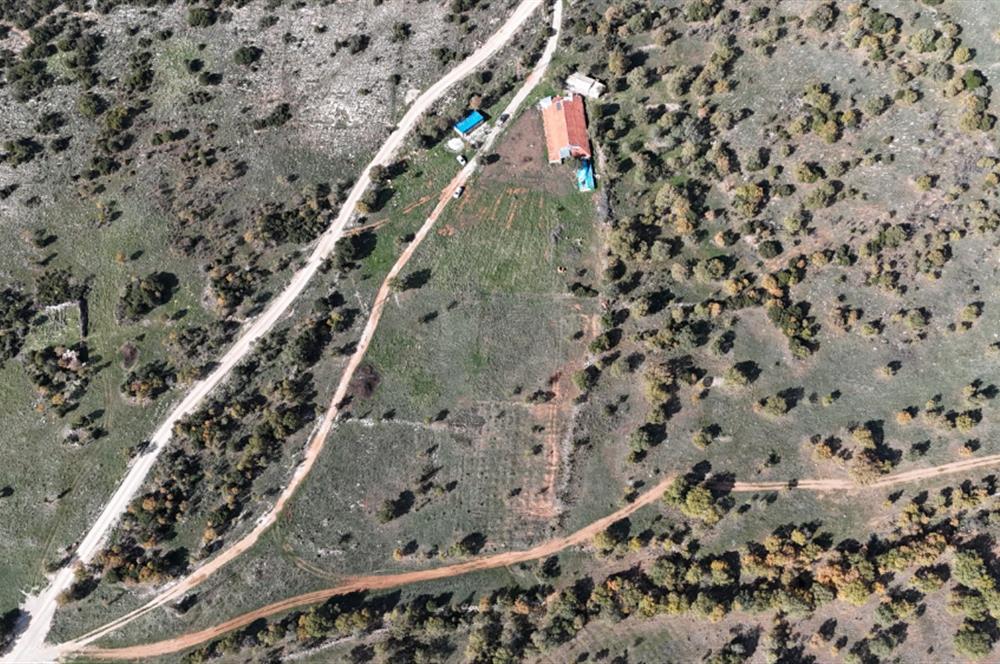 BEKİLLİ ÜÇKUYU'DA SATILIK TARLA VE KÜÇÜKBAŞ BESİHANESİ