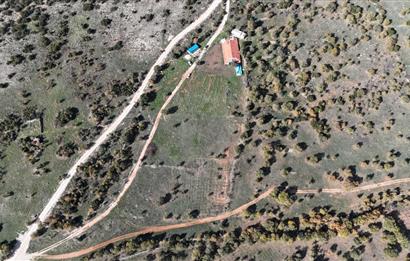 BEKİLLİ ÜÇKUYU'DA SATILIK TARLA VE KÜÇÜKBAŞ BESİHANESİ