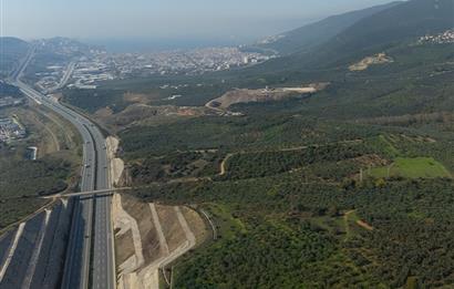 C21 CİUS; Gemlik Cihatlı'da Konum Avantajlı Zeytinlik