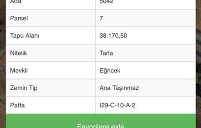 BEYNAM EĞRİCEK MEVKİİNDE ANA YOLA CEPHE SATILIK TARLA 