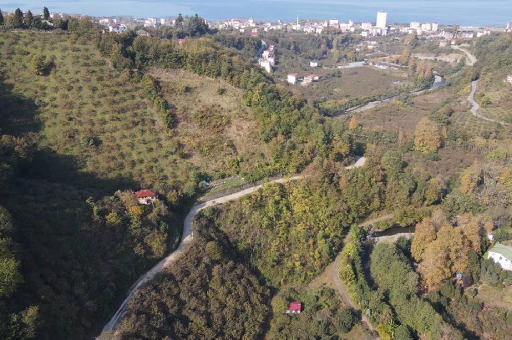 C21 UZMAN DAN VAKFIKEBIR DE 8881M2 SATILIK PROJELİK PARSELLER