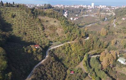 C21 UZMAN DAN VAKFIKEBIR DE 8881M2 SATILIK PROJELİK PARSELLER