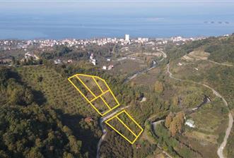 C21 UZMAN DAN VAKFIKEBIR DE 8881M2 SATILIK PROJELİK PARSELLER - 1 - 29555