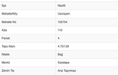 Aydın Nazilli 4757 m2 Satılık Bağ Nitekli Arazi