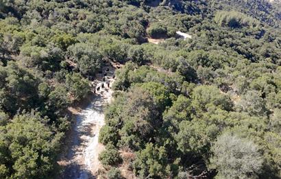 Aydın Nazilli 4757 m2 Satılık Bağ Nitekli Arazi