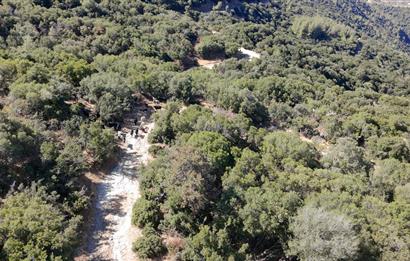 Aydın Nazilli 4757 m2 Satılık Bağ Nitekli Arazi