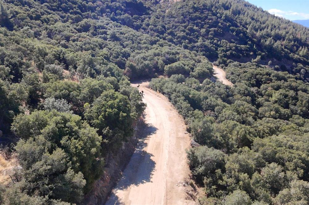 Aydın Nazilli 4757 m2 Satılık Bağ Nitekli Arazi