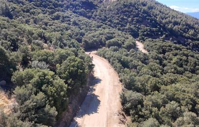 Aydın Nazilli 4757 m2 Satılık Bağ Nitekli Arazi