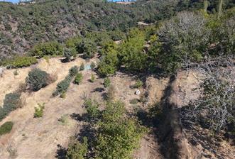 Aydın Nazilli 4757 m2 Satılık Bağ Nitekli Arazi - 1 - 29550