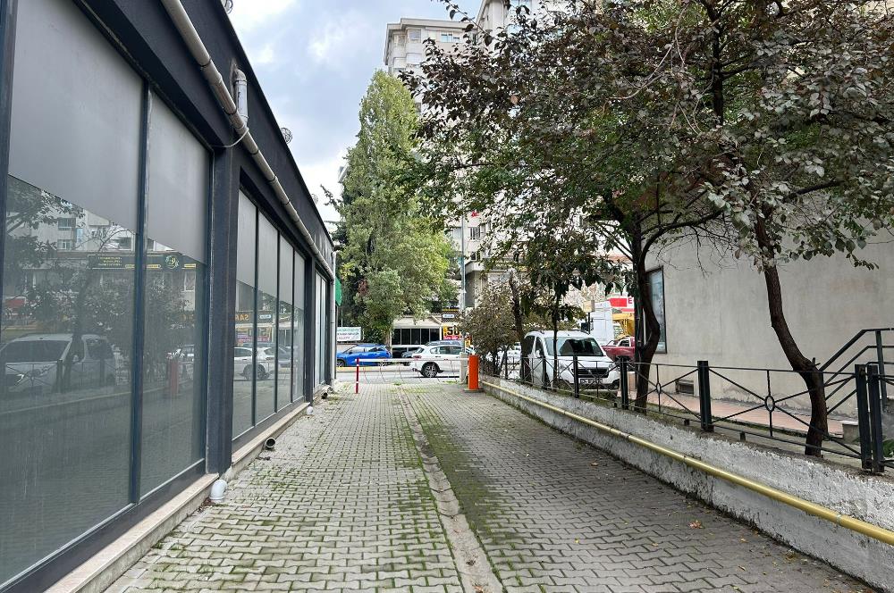 MERDİVENKOY İMAM RAMİZ SOK. KULLANIŞLI SATILIK 3+1 DAİRE