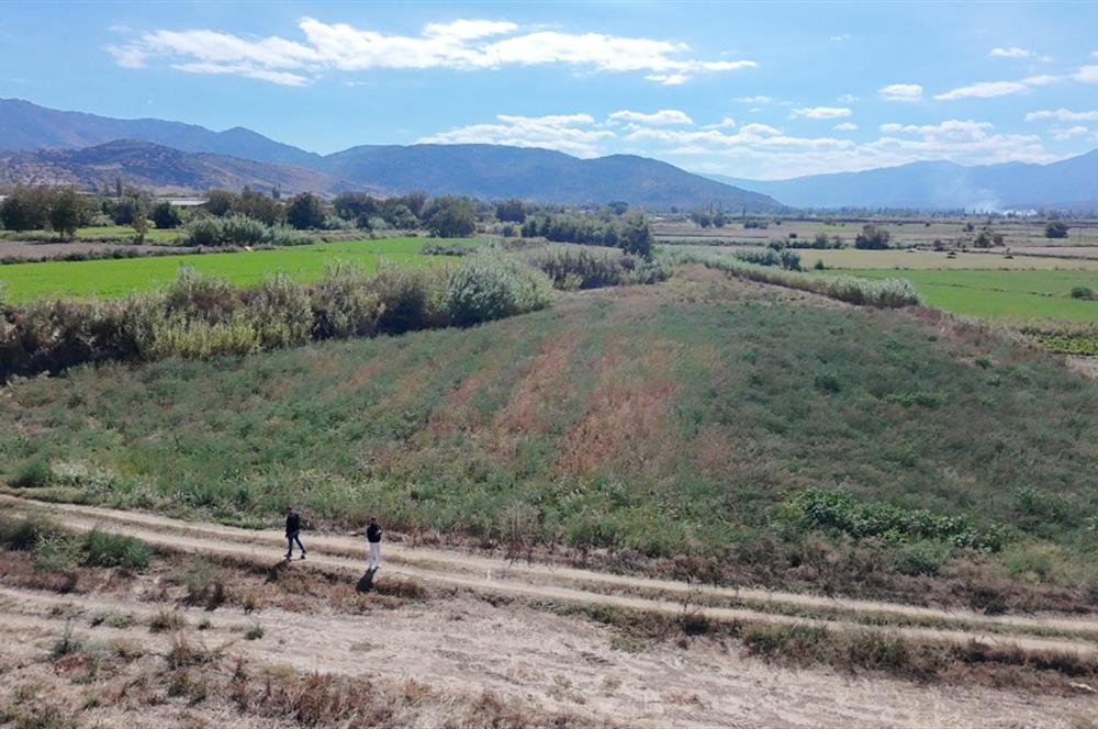 Aydın Nazilli Satılık 6.640 m2 Tarla