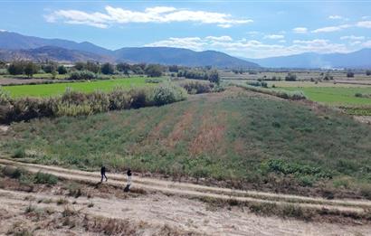 Aydın Nazilli Satılık 6.640 m2 Tarla