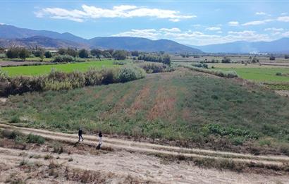 Aydın Nazilli Satılık 6.640 m2 Tarla