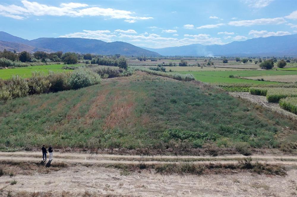 Aydın Nazilli Satılık 6.640 m2 Tarla