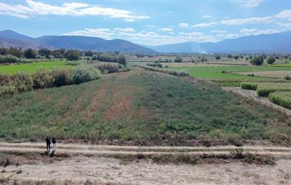 Aydın Nazilli Satılık 6.640 m2 Tarla