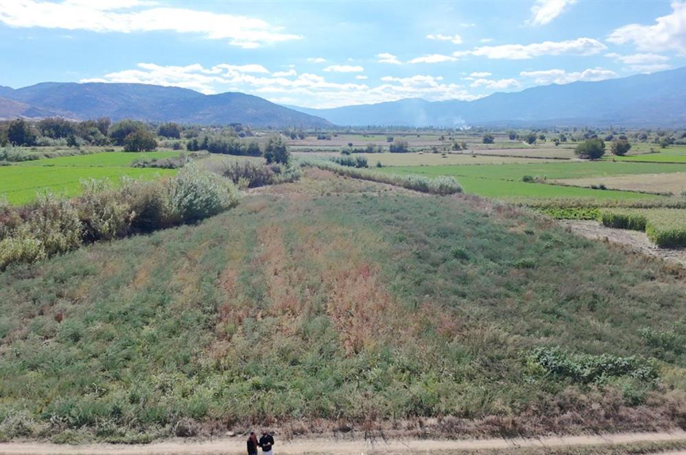 Aydın Nazilli Satılık 6.640 m2 Tarla