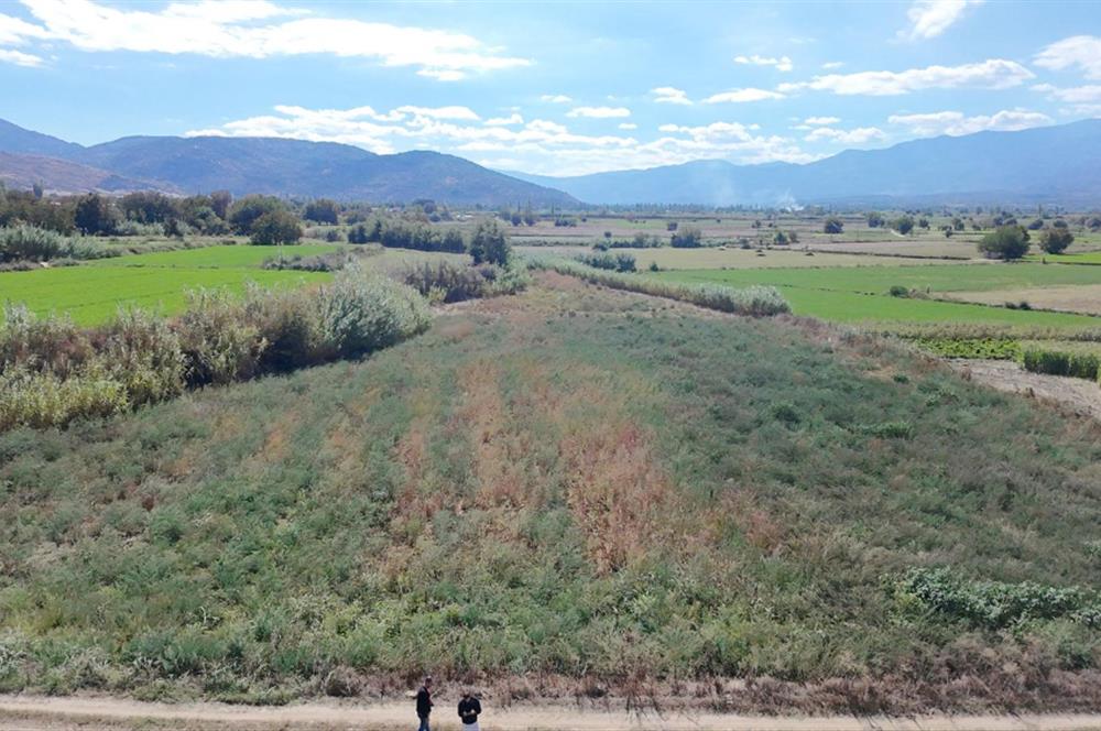 Aydın Nazilli Satılık 6.640 m2 Tarla