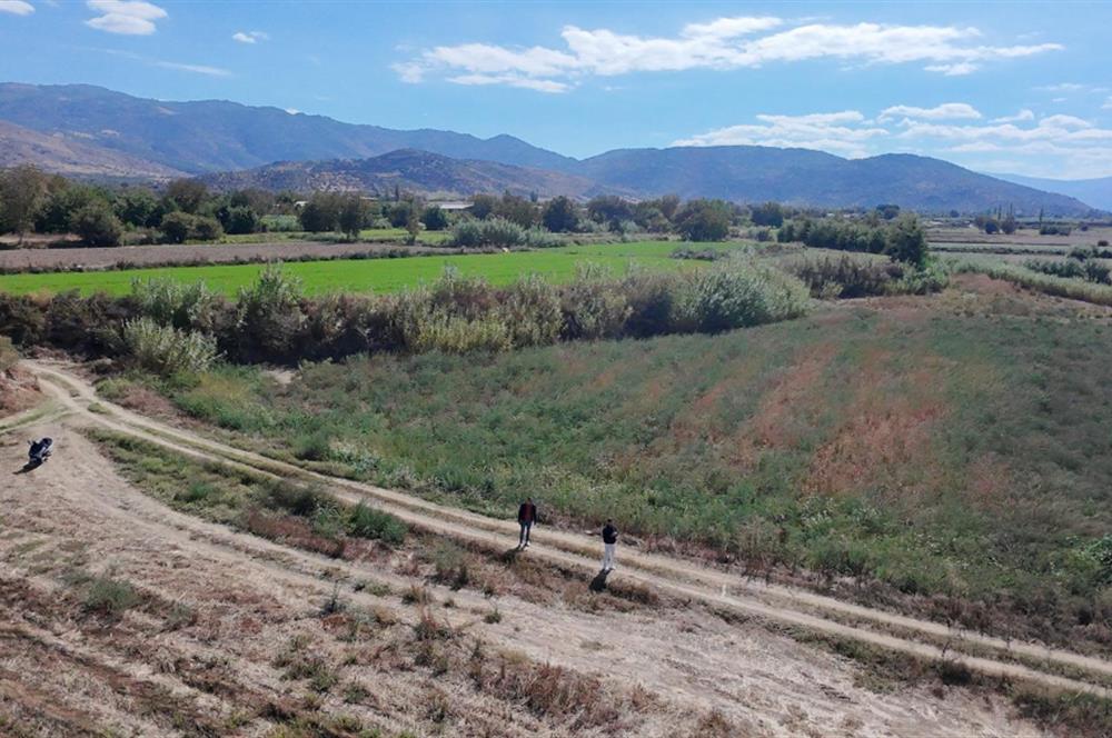 Aydın Nazilli Satılık 6.640 m2 Tarla