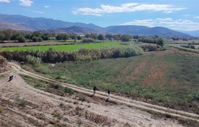 Aydın Nazilli Satılık 6.640 m2 Tarla